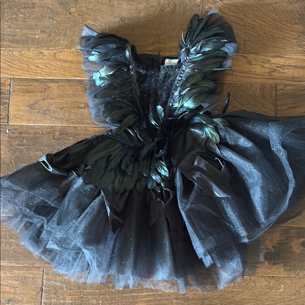 Chasing Fireflies Black Feathered Tulle Costume Dress with Iridescent Accents